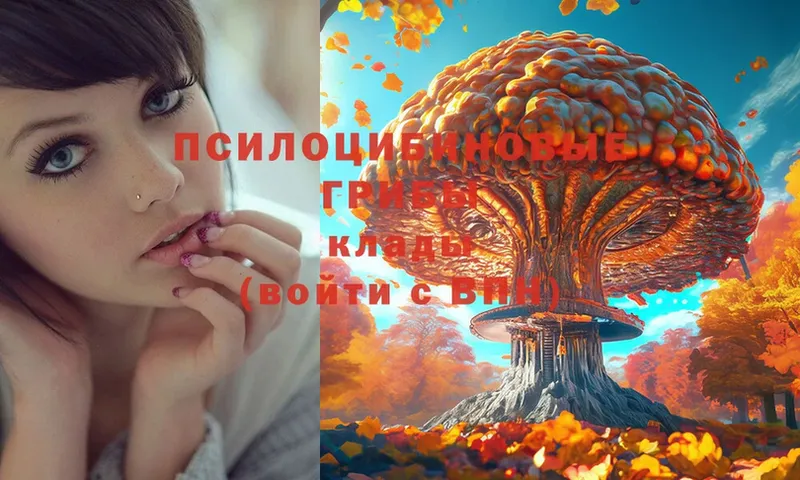 Псилоцибиновые грибы Psilocybe  мориарти наркотические препараты  Бронницы  omg зеркало 